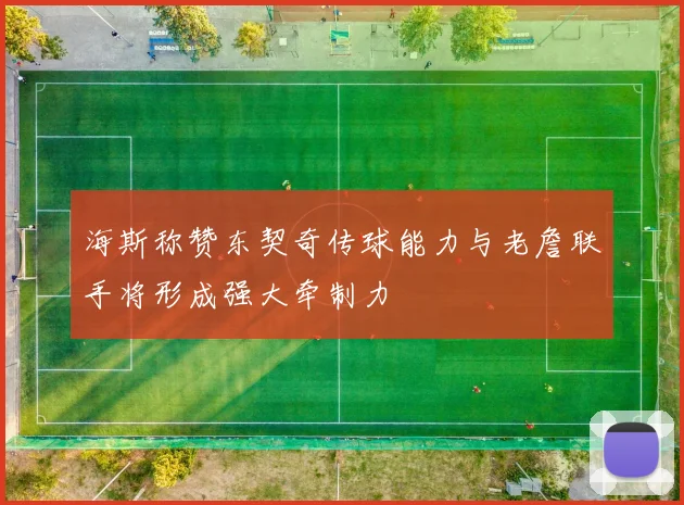 海斯称赞东契奇传球能力与老詹联手将形成强大牵制力