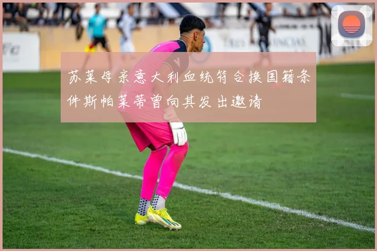 苏莱母亲意大利血统符合换国籍条件斯帕莱蒂曾向其发出邀请