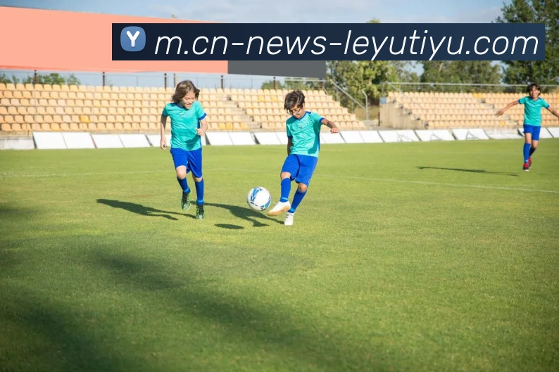 乐鱼体育平台生态图